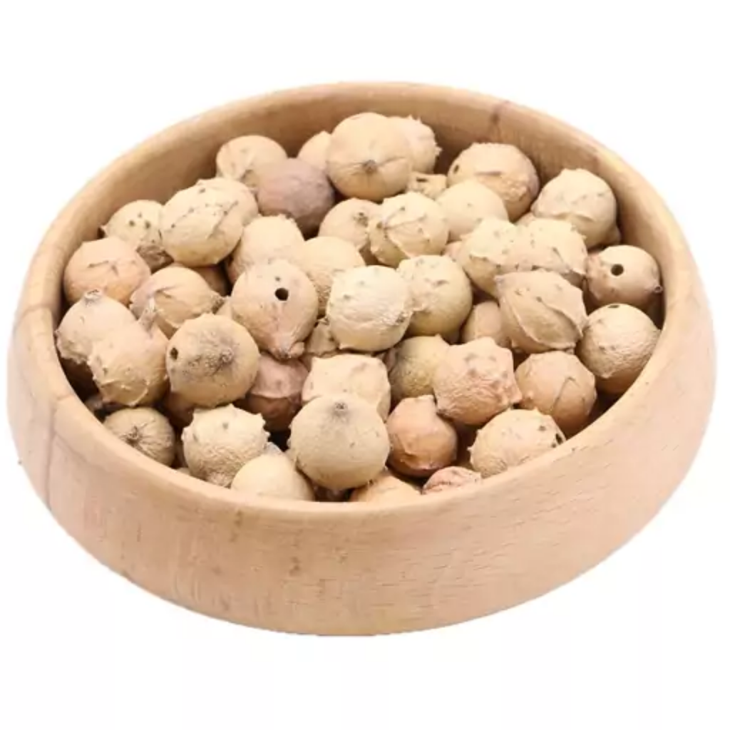 Mazoo / Aleppo Oak / Mazu مازو سبز