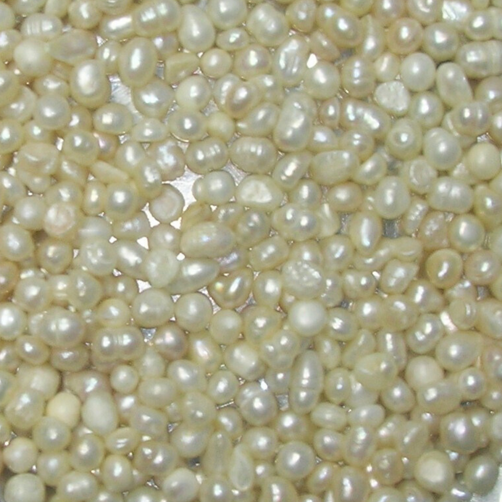 Moti / Pearl / Marwareed / مروارید خشخاشی موتی