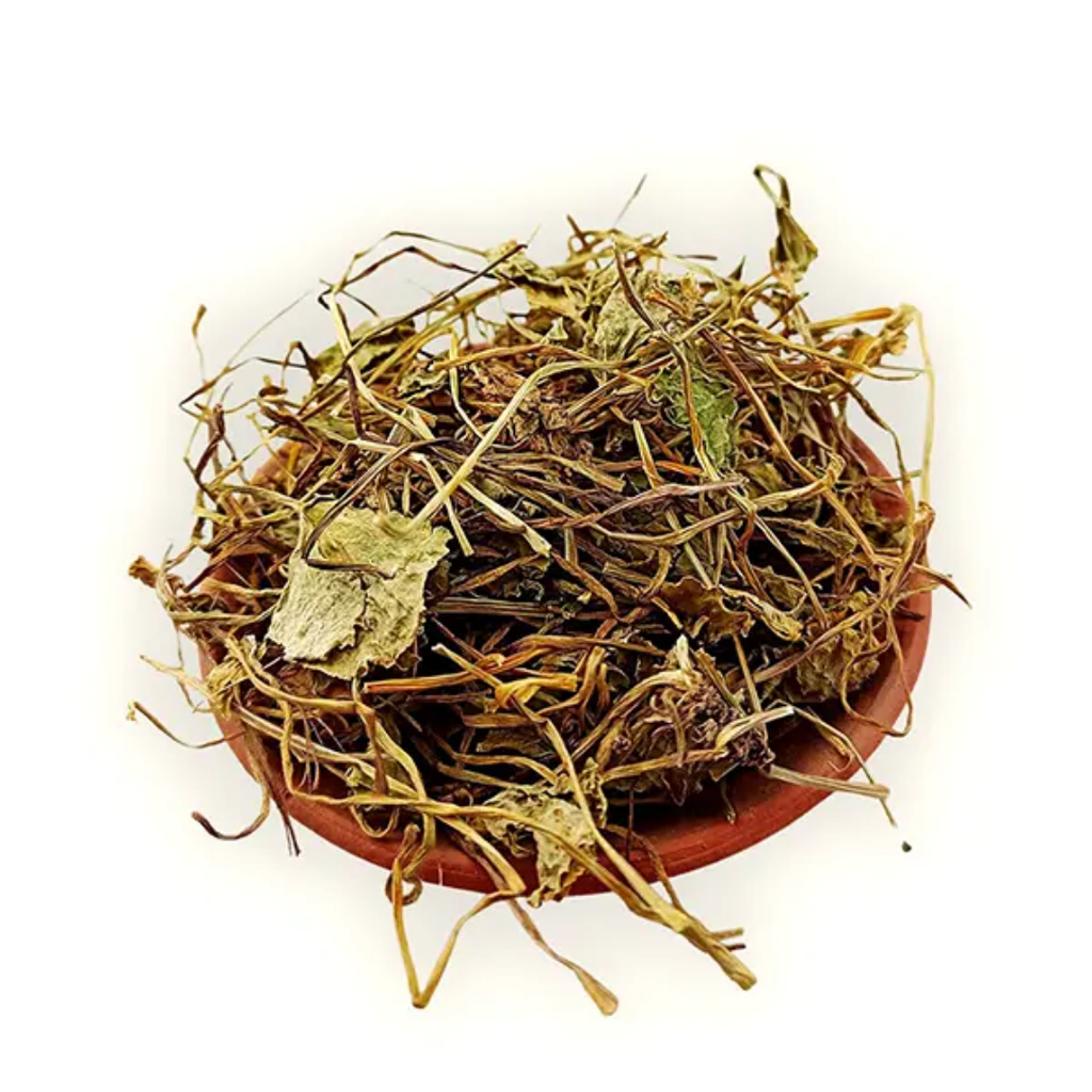 Barhami Booti / Bacopa Monnieri / برہمی بوٹی