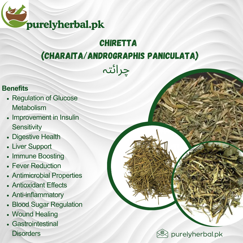 Charaita / Chiretta / Andrographis Paniculata چرائتہ