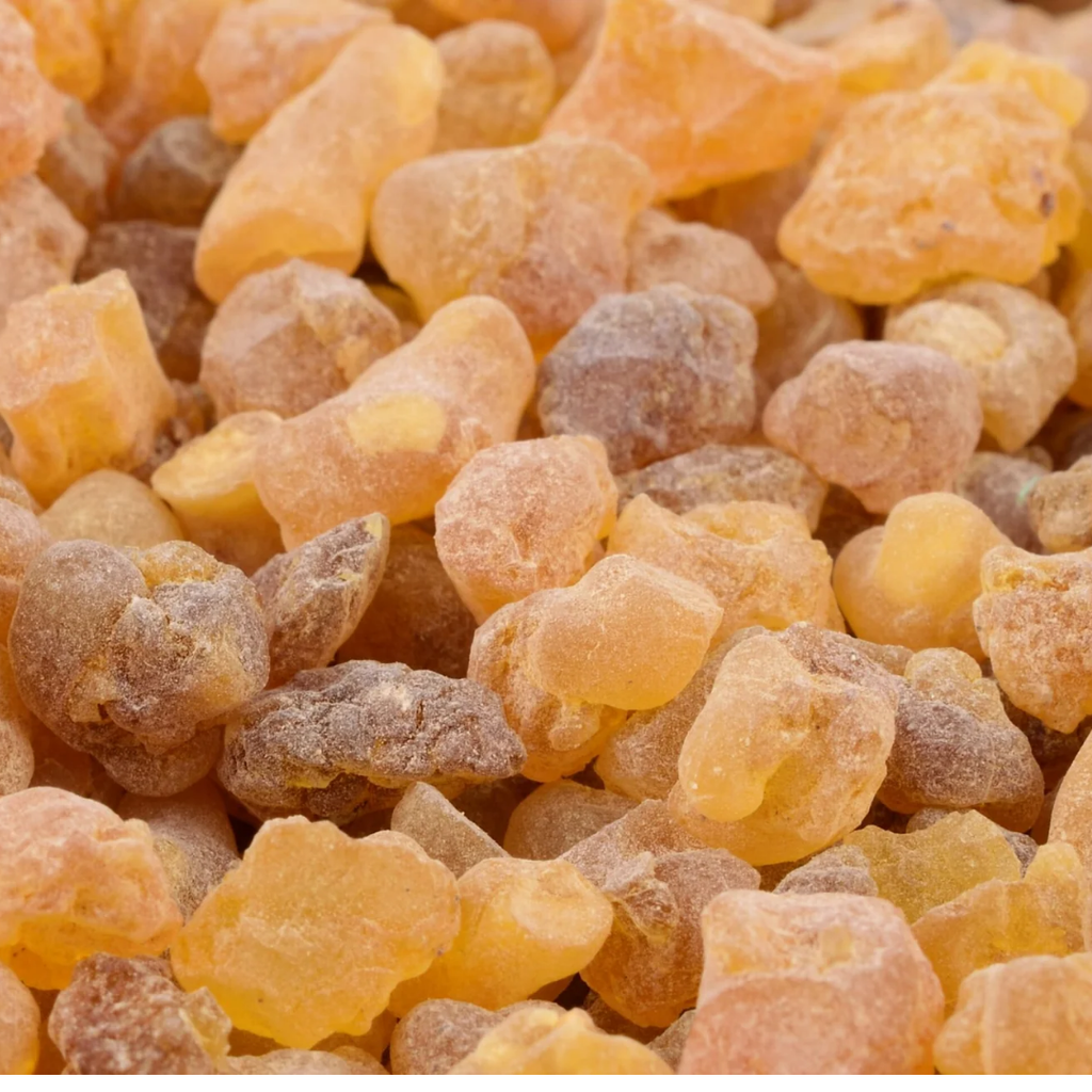 Gond Kundar / Frankincense Gum / گوند کندر