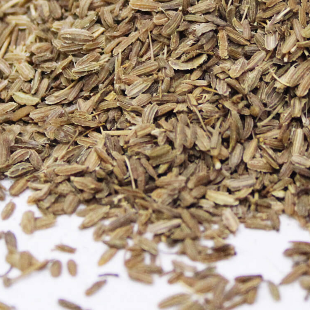 Tukhm e Gajar / Carrot Seeds / تخم گاجر