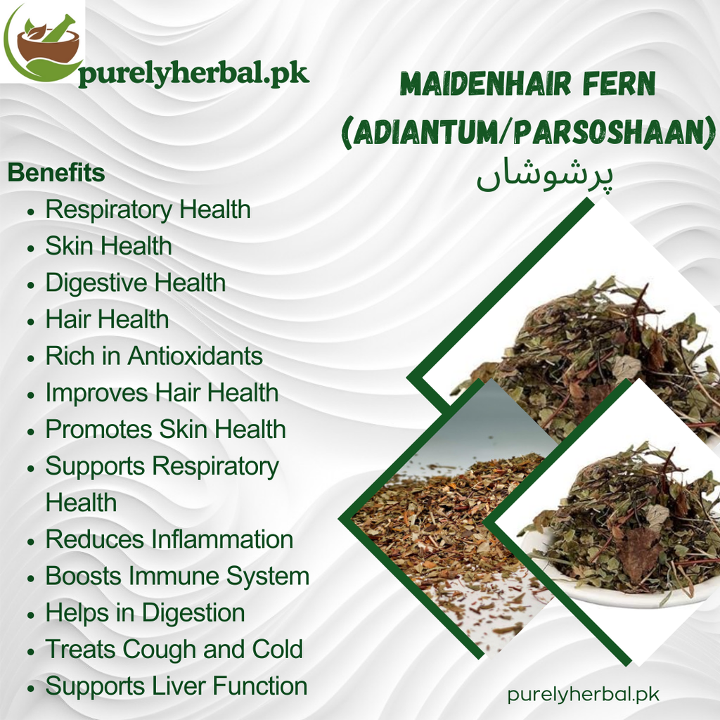 Parsoshaan / Maidenhair Fern / Adiantum / پرشوشاں