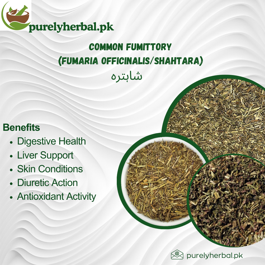 Shahtara / Common Fumittory / Fumaria officinalis / شاہترہ