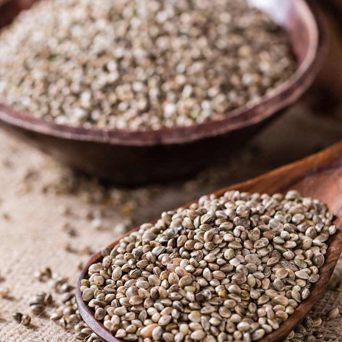 Tukhm e Bhang / Hemp Seeds / Cannabis Indica / تخم بھنگ