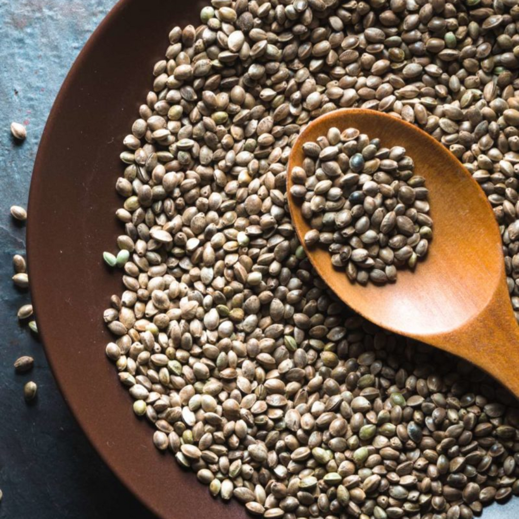 Tukhm e Bhang / Hemp Seeds / Cannabis Indica / تخم بھنگ