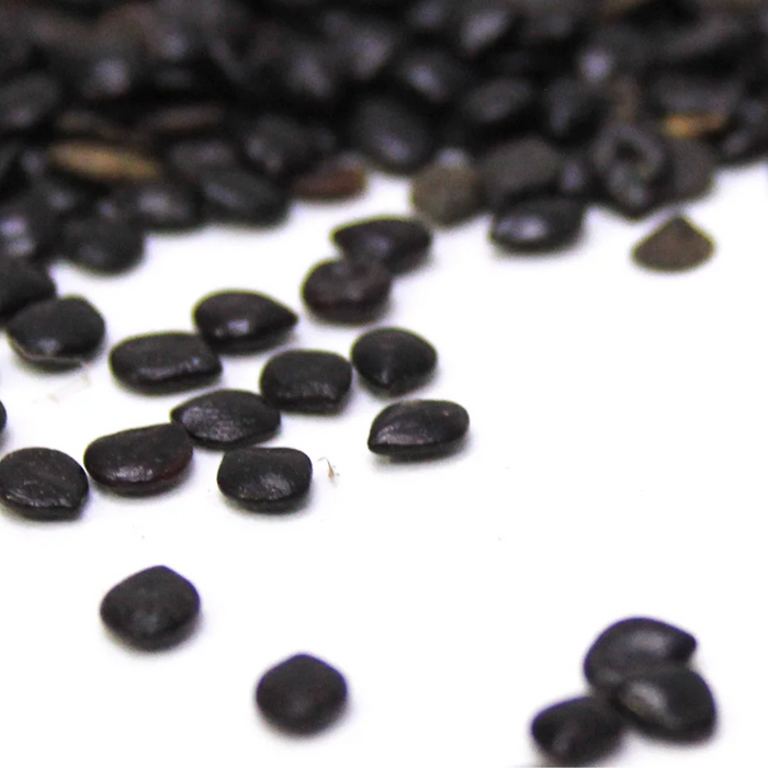 Tukhm e Chasku / Cassia Absus Seeds / چاسکو