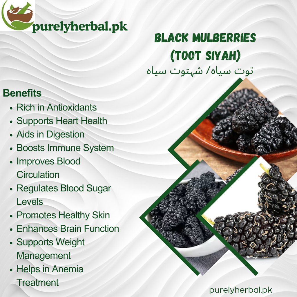 Toot Siyah / Black Mulberries / توت سیاہ/ شہتوت سیاہ