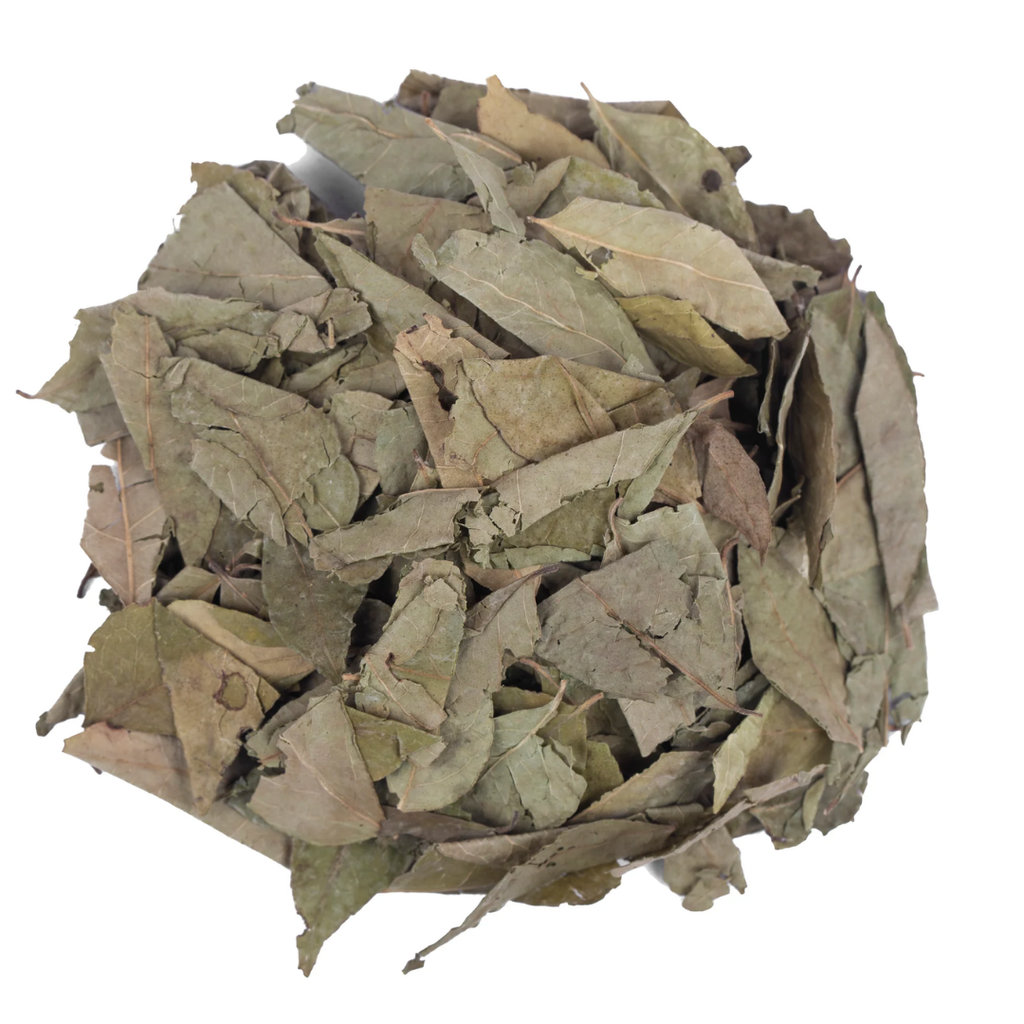 Kari Patta / Curry Leaves / کڑی پتہ