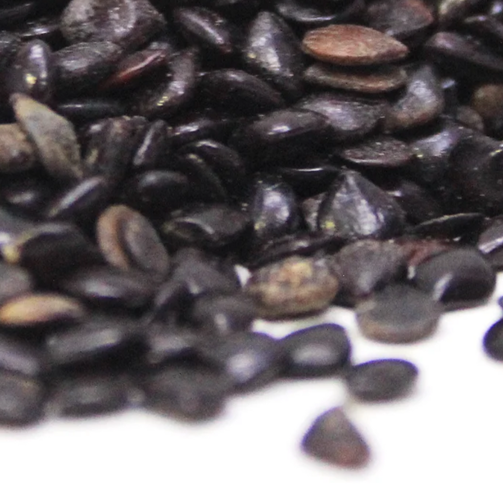 Tukhm e Chasku / Cassia Absus Seeds / چاسکو