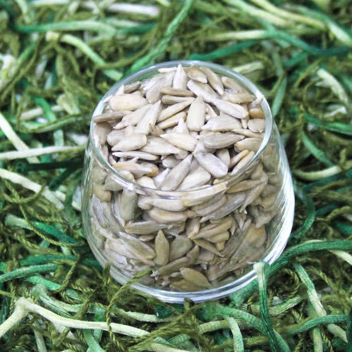 Maghaz e Suraj Mukhi / Sunflower seeds without shell مغز سورج مکھی