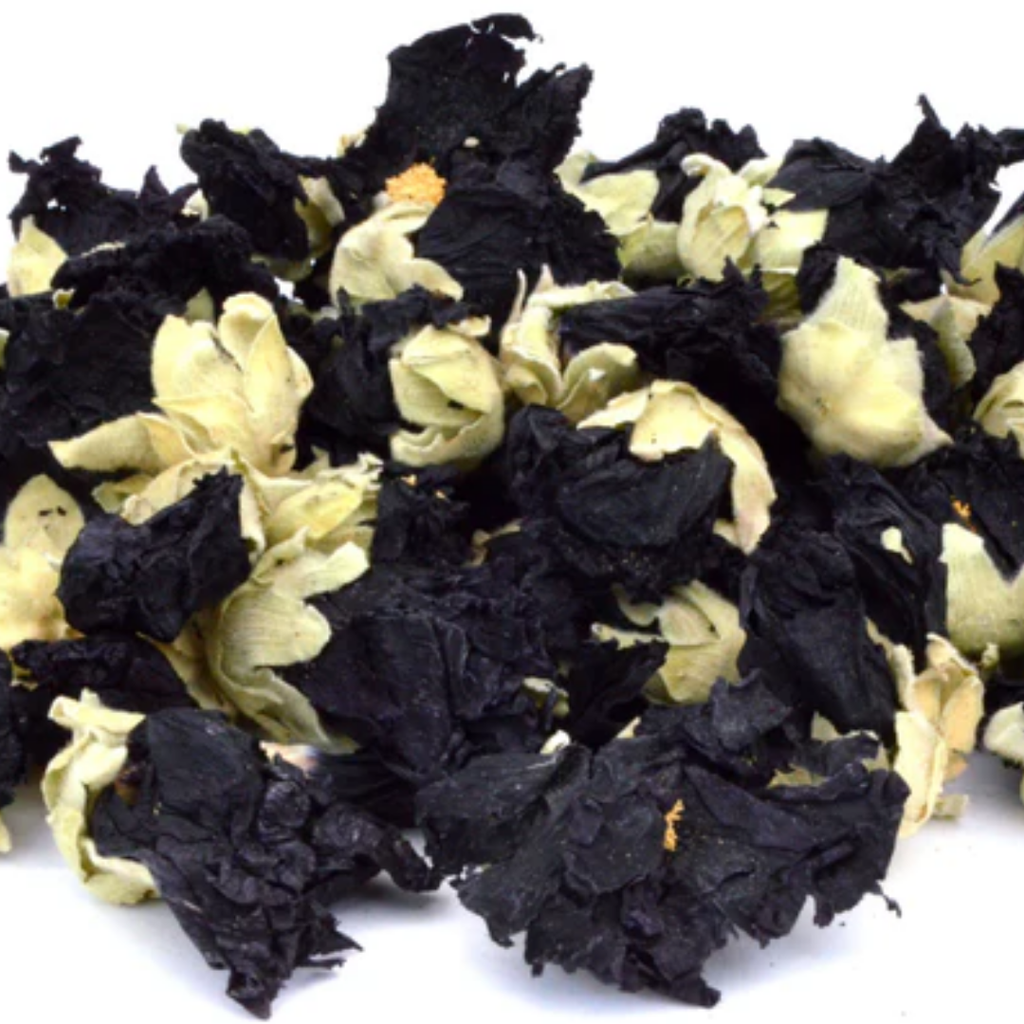 Malva / Hollyhock Flowers Black Mallow / ملوا