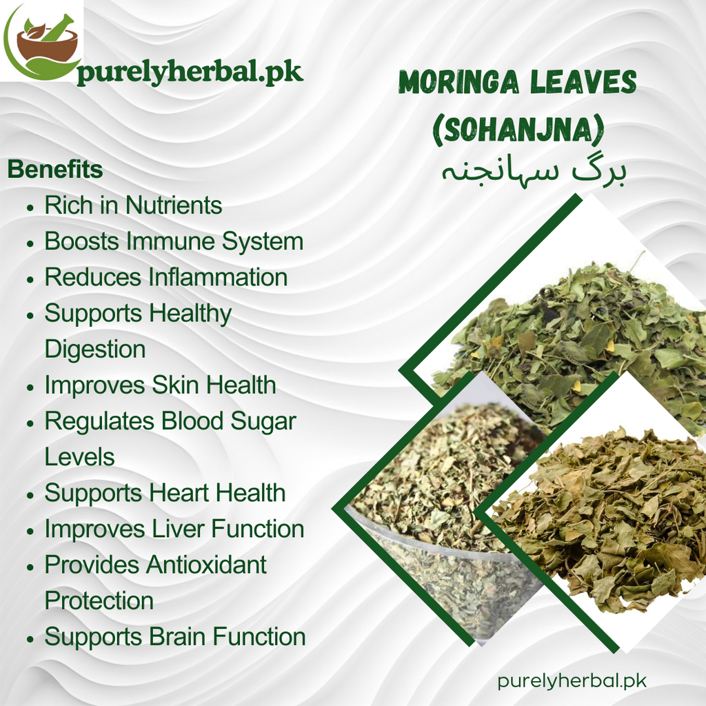Barg e Suhanjna / Moringa Leaves / برگ سہانجنہ