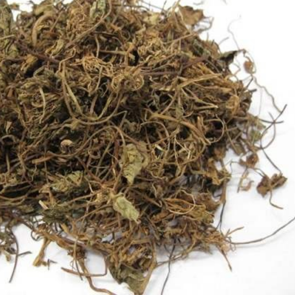 Barhami Booti / Bacopa Monnieri / برہمی بوٹی