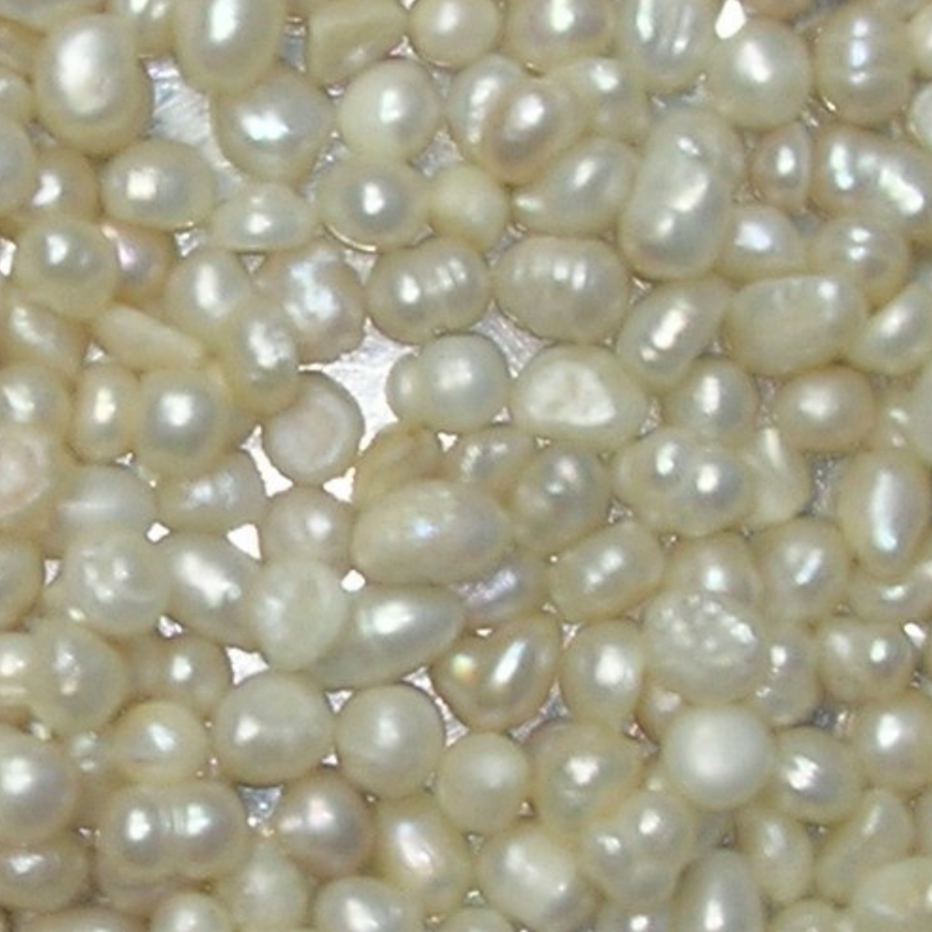 Moti / Pearl / Marwareed / مروارید خشخاشی موتی