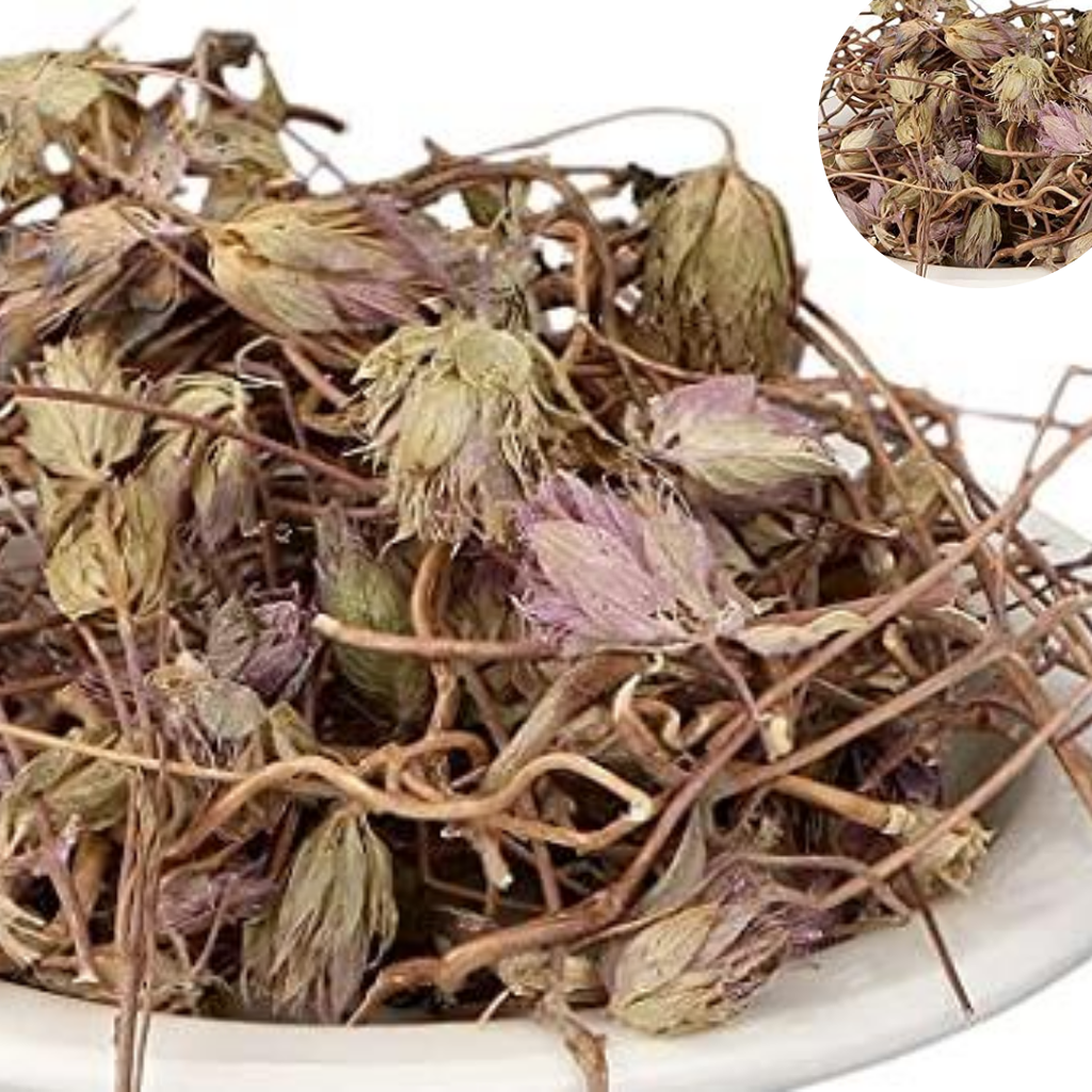 Gul e Zofa / Hyssop / Hyssopus officinalis / گل زوفہ
