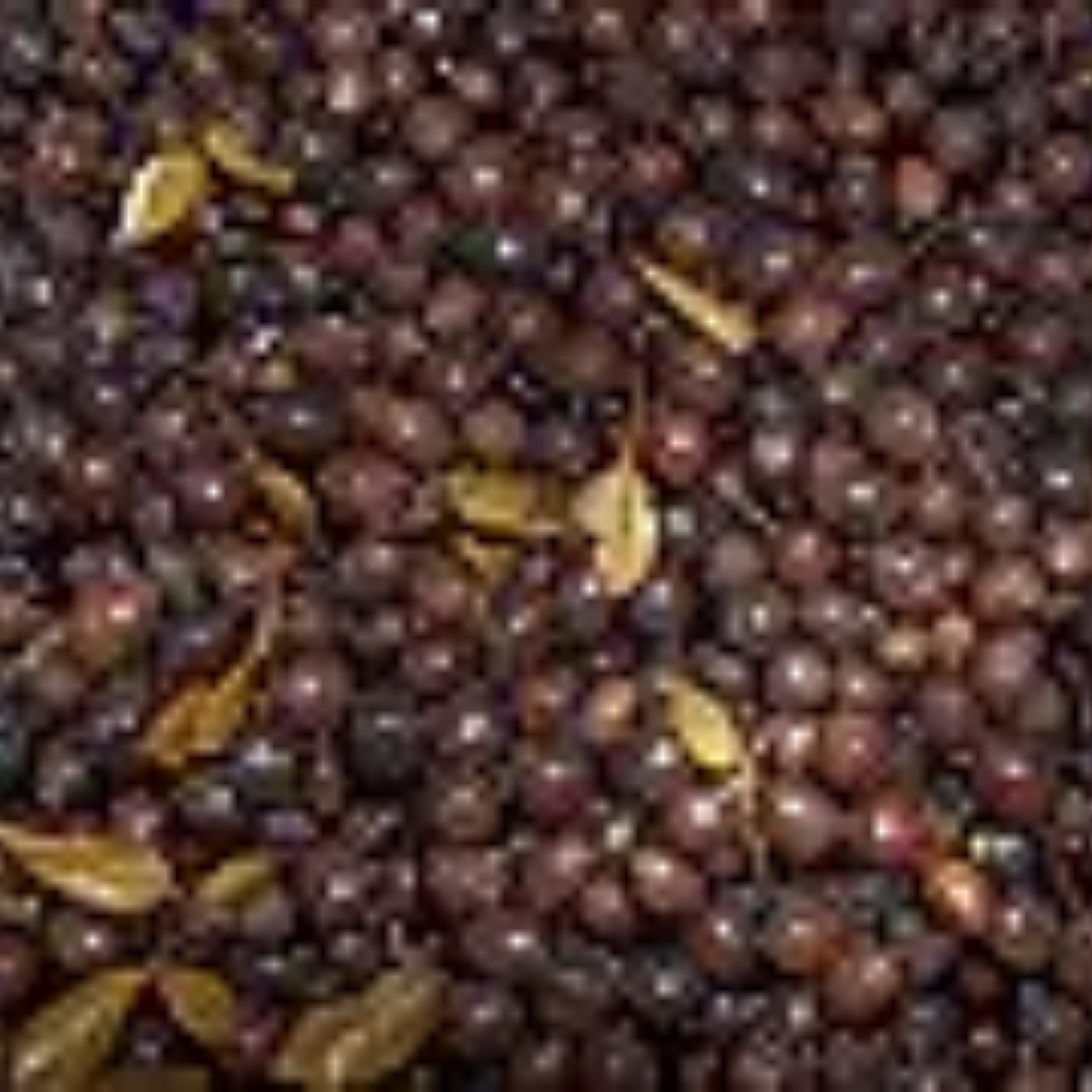 Habbul Aas / Myrtle / Myrtus Communis / حب الاس