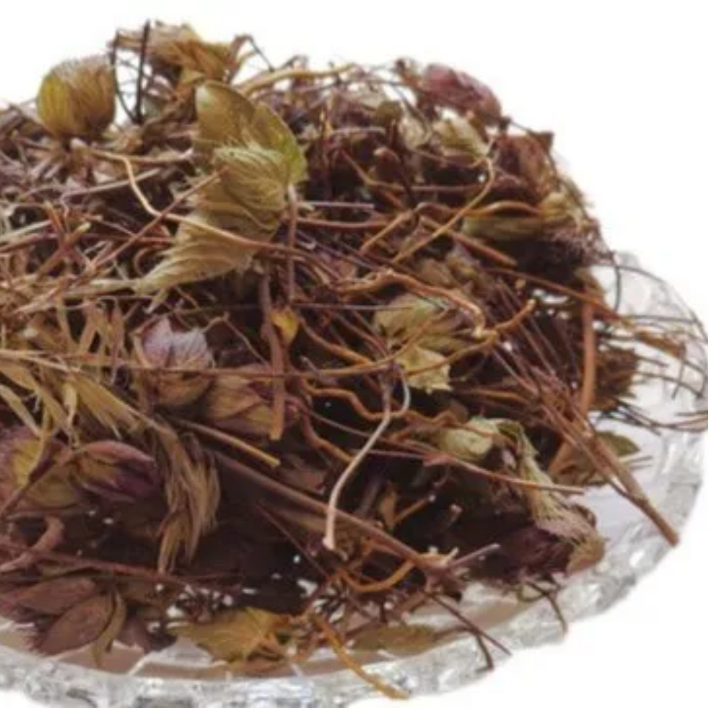 Gul e Zofa / Hyssop / Hyssopus officinalis / گل زوفہ