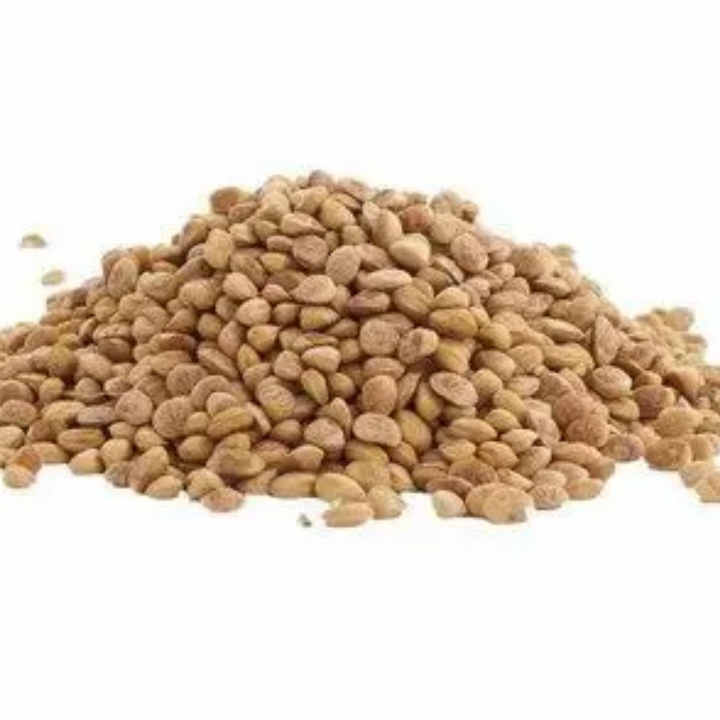 Charwanji  / Charoli nuts / مغز چرونجی