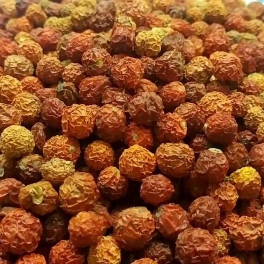 Kakanj / Bladder Cherry / Physalis Alkekengi کاکنج