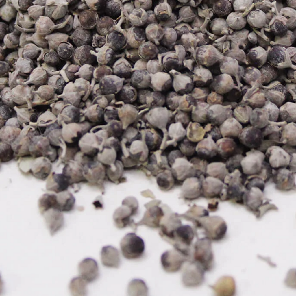 Tukhm e Sambhaloo / Chaste Tree Seeds / Agnus Castus / تخم سنبھالو