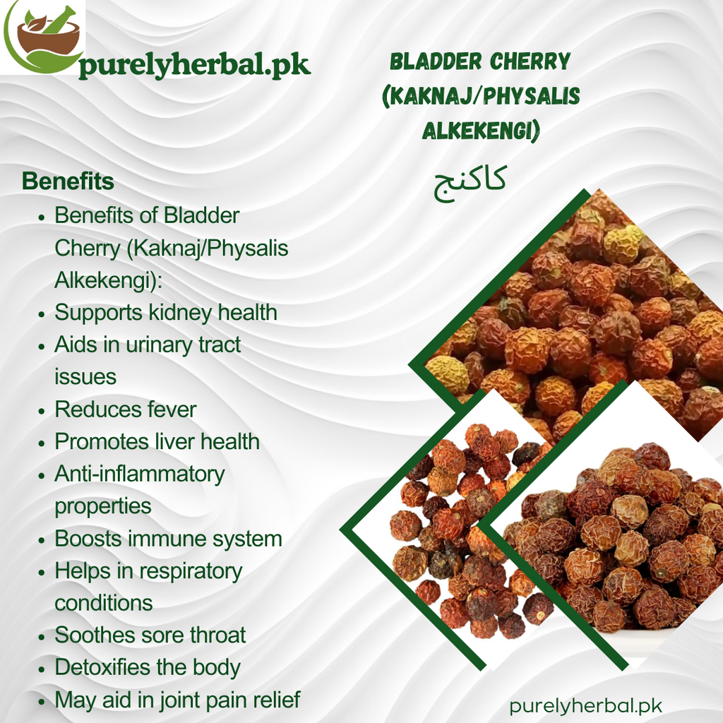 Kakanj / Bladder Cherry / Physalis Alkekengi کاکنج