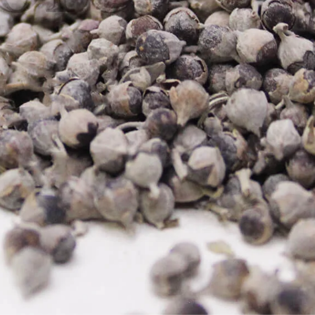 Tukhm e Sambhaloo / Chaste Tree Seeds / Agnus Castus / تخم سنبھالو