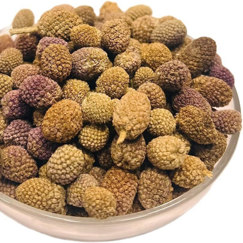 Mundi Boti / Indian Globe Thistle / Sphaeranthus Indicus منڈی بوٹی