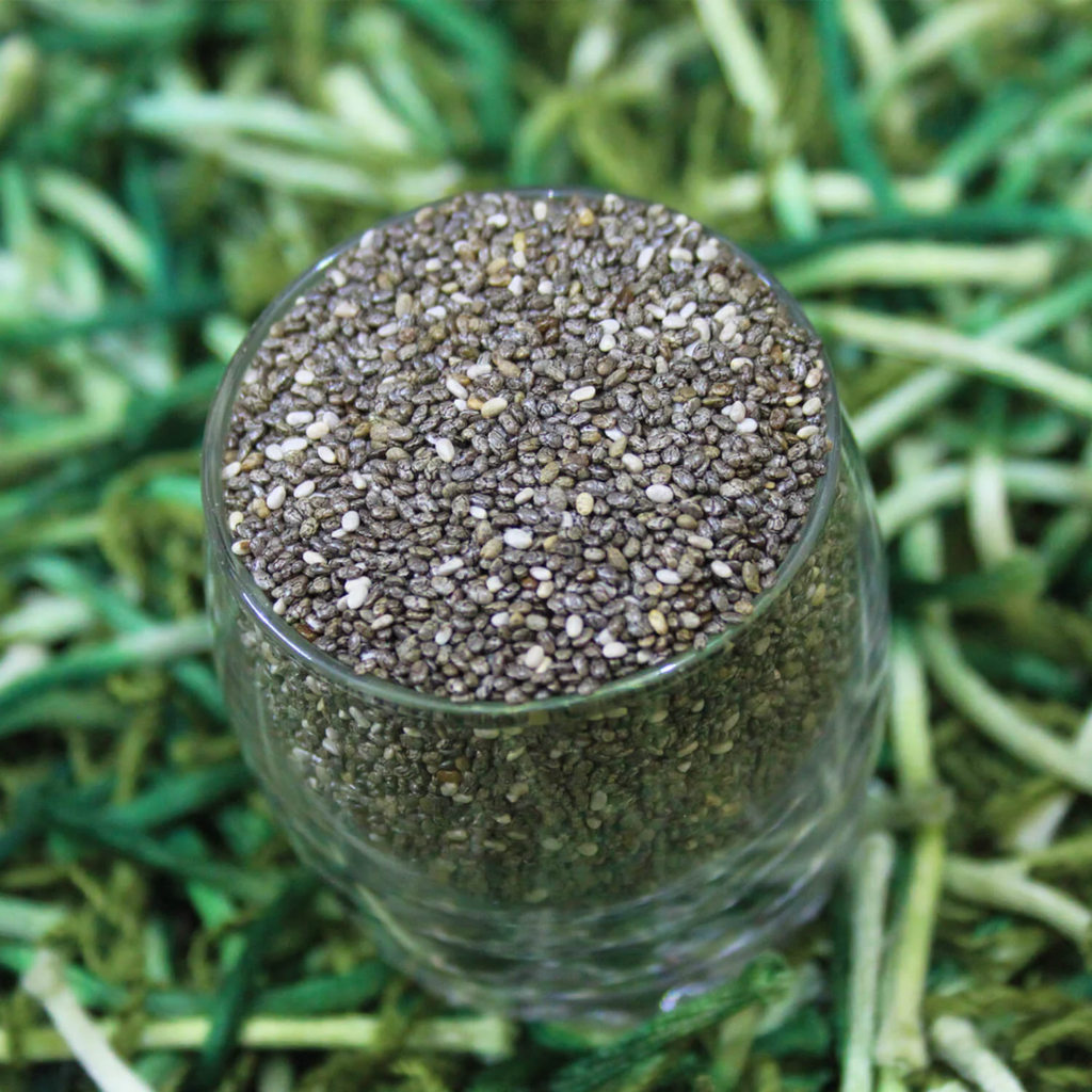 Tukhm e Daudi / Chia Seeds تخم داودی