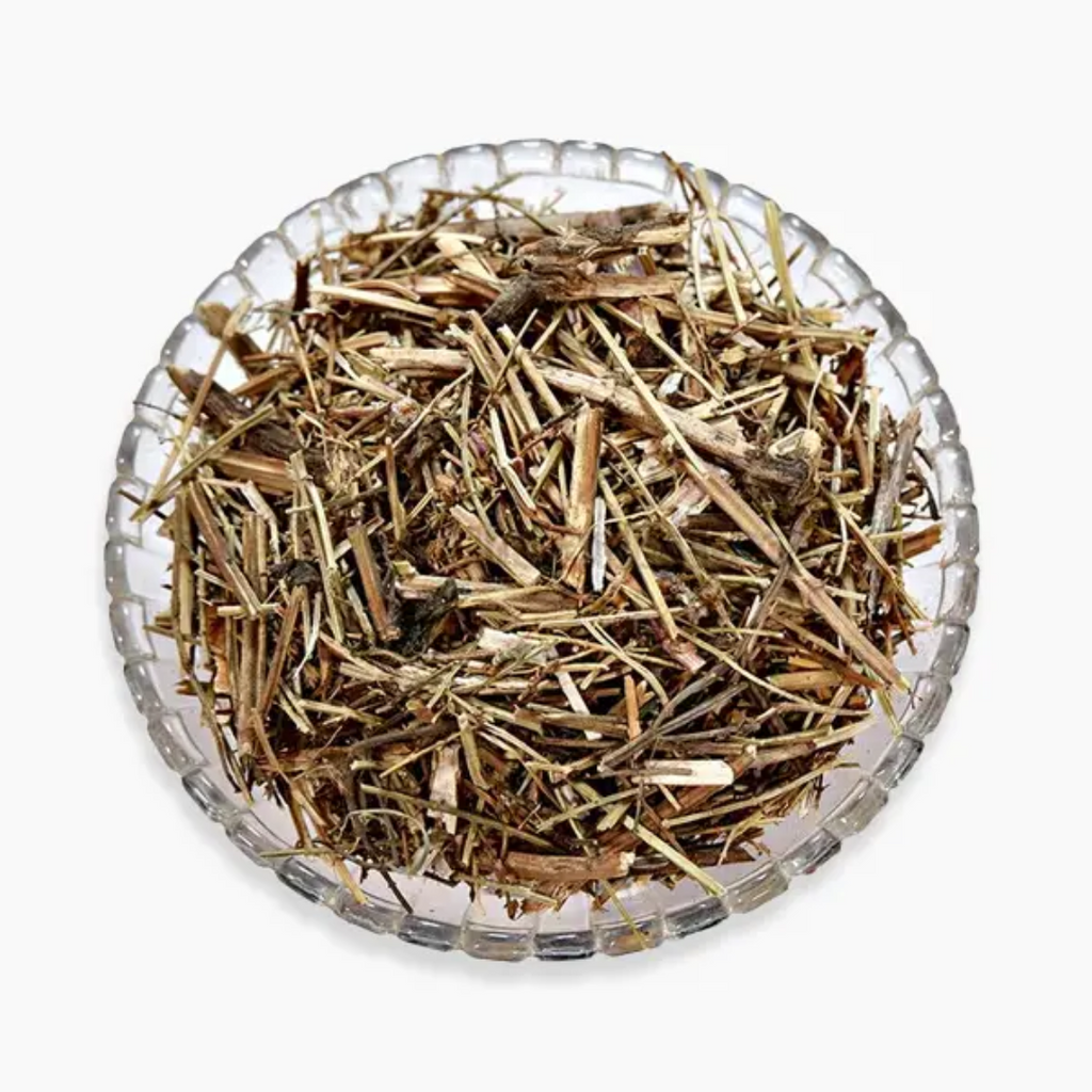 Badranjboya / Catnip / Nepeta Cataria بادرنجبویہ