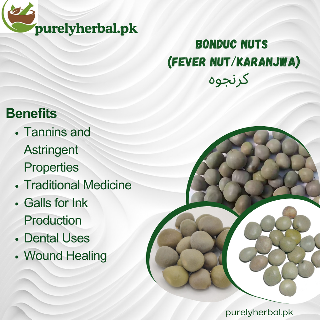 karanjwa / Bonduc Nuts / Fever Nut / کرنجوہ