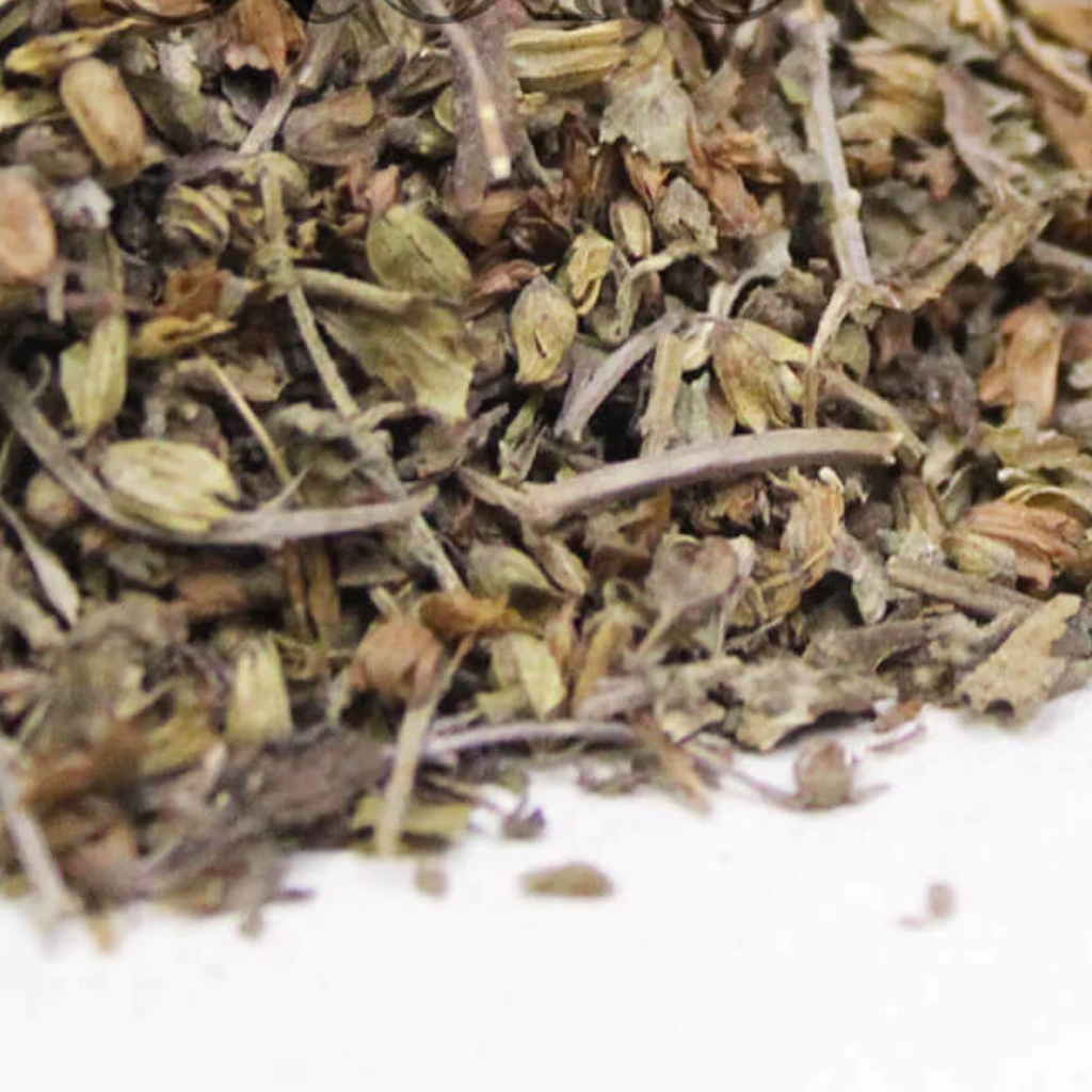 Badranjboya / Catnip / Nepeta Cataria بادرنجبویہ