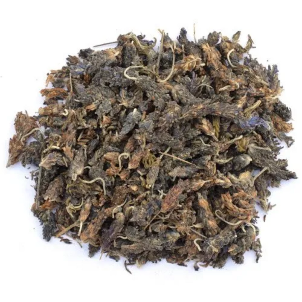 Ustakhadoos / Lavender Flower / اسطخدوس