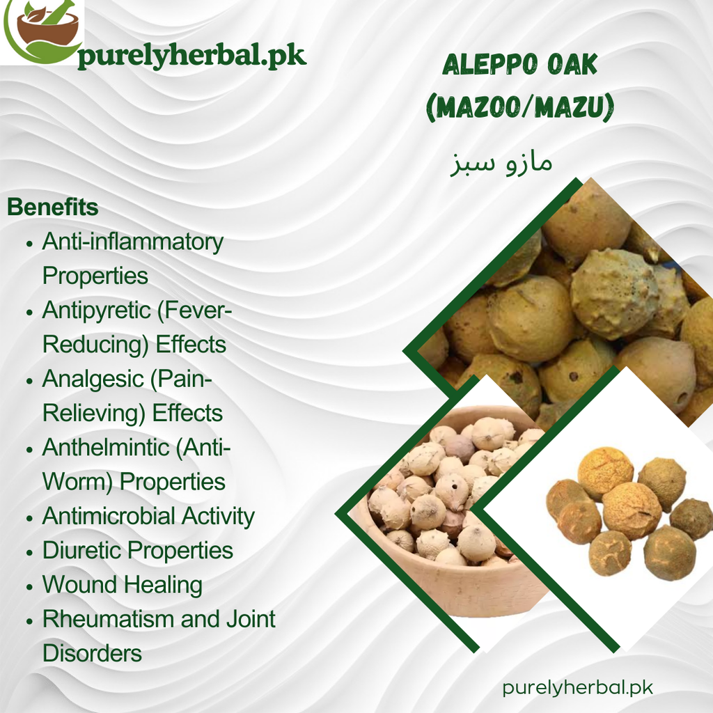 Mazoo / Aleppo Oak / Mazu مازو سبز