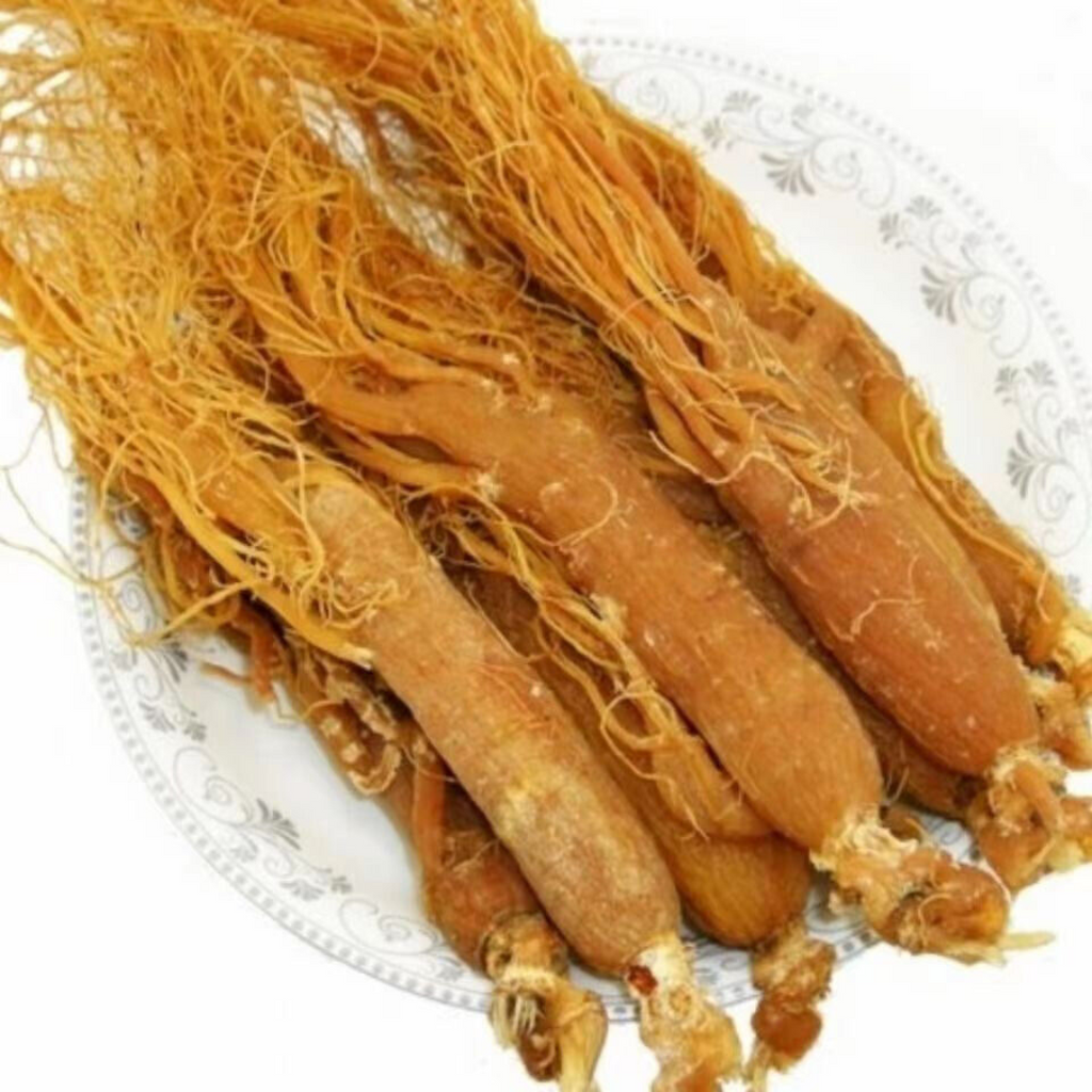Ginseng Korean / Red Ginseng جنسنگ گولڈ