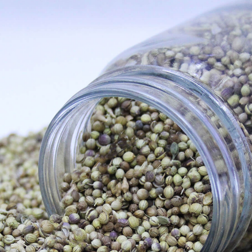 Dhania / Coriander Seeds / دھنیہ