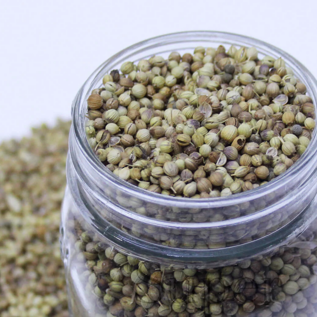 Dhania / Coriander Seeds / دھنیہ