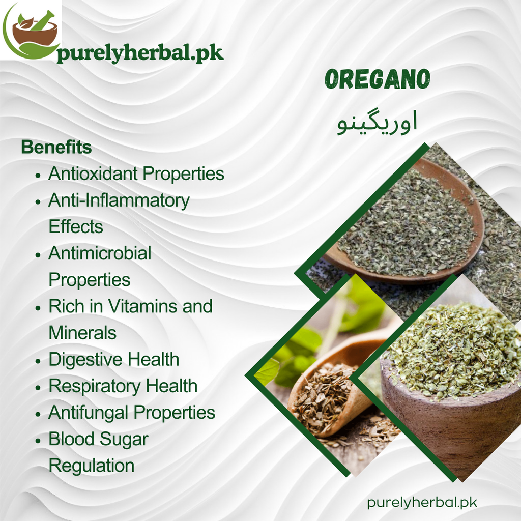 Oregano اوریگینو