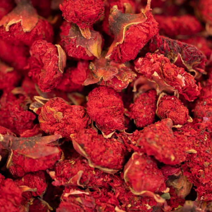 Gul e Anar / Pomegranate Flower /  گل انار