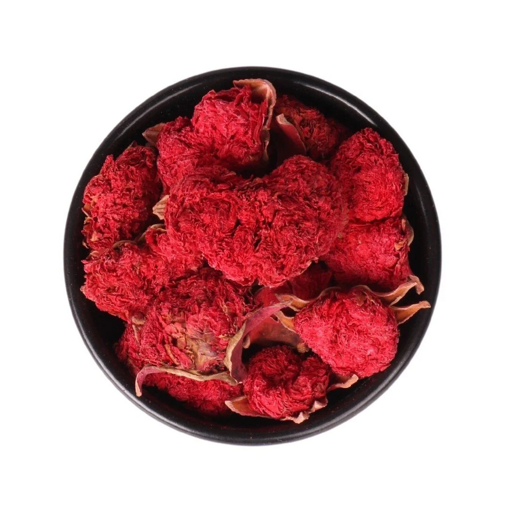 Gul e Anar / Pomegranate Flower /  گل انار