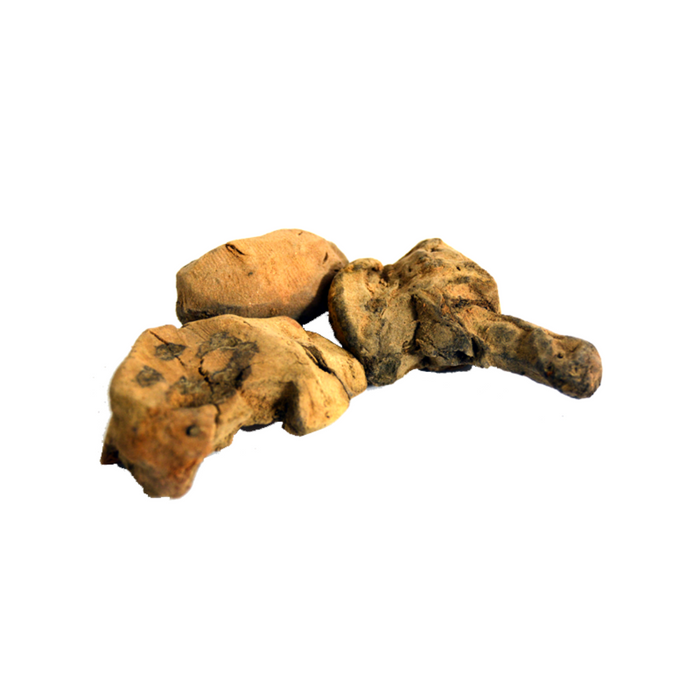 Chob Chini / China Root / Smilax China/ چوب چینی