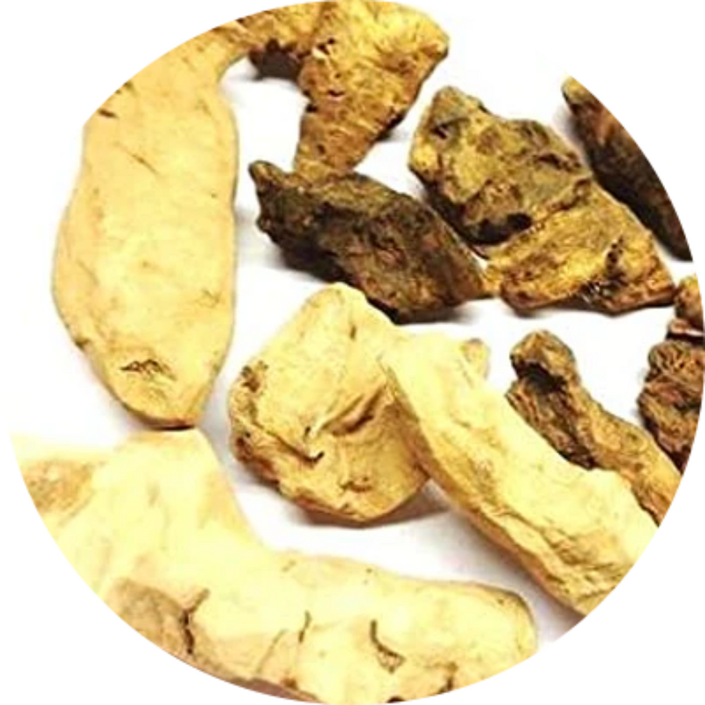 Chob Chini / China Root / Smilax China/ چوب چینی