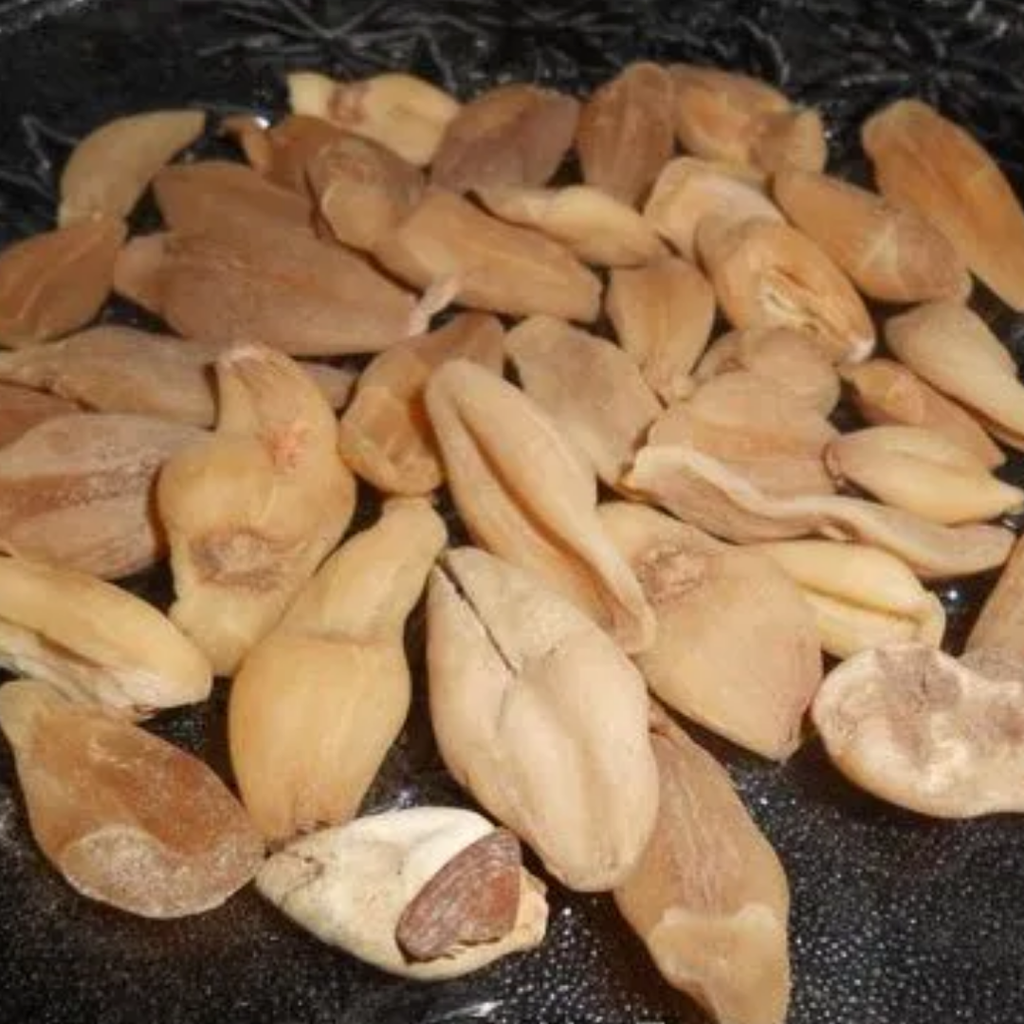Surinjan Talkh / Colchicum Bitter / سرنجان تلخ