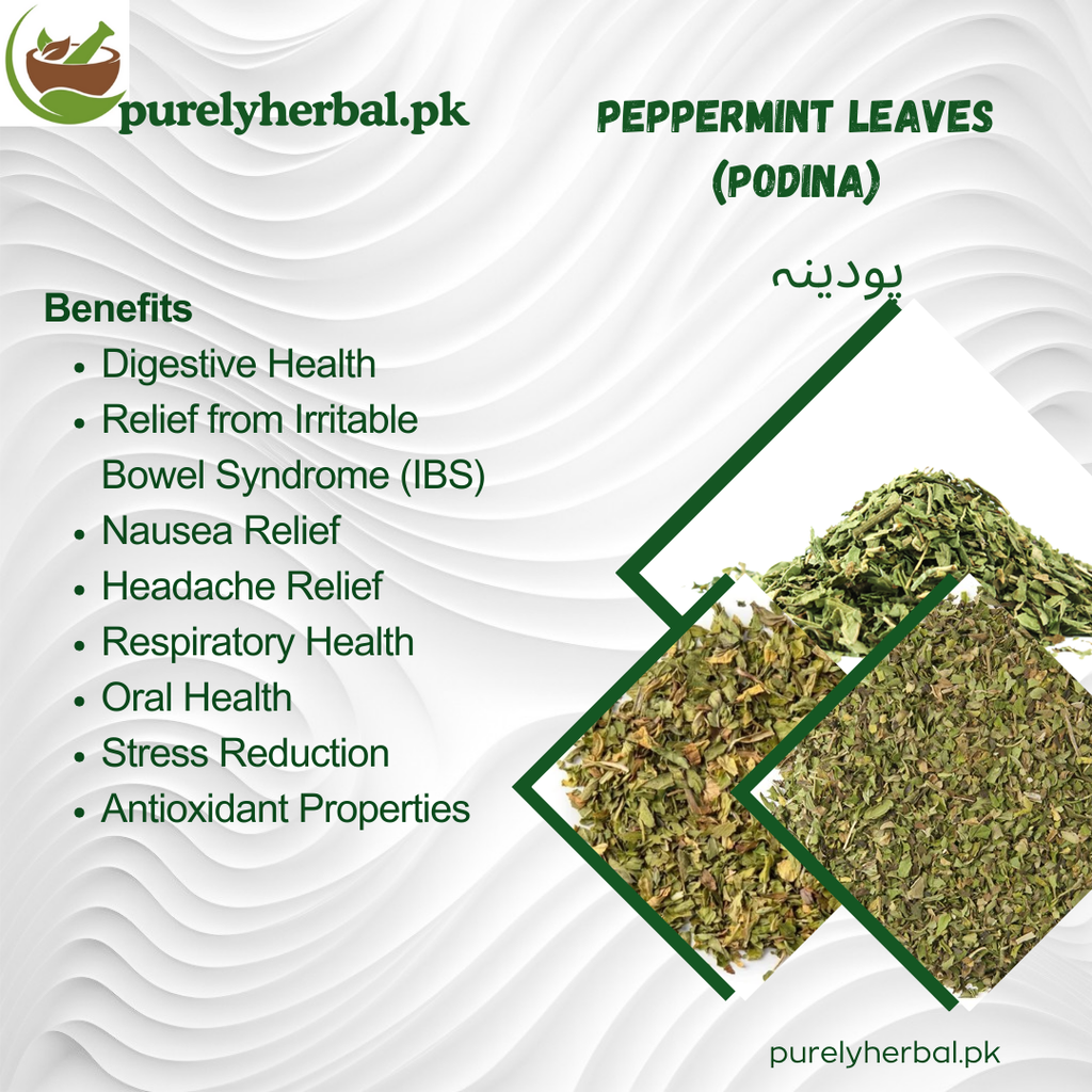 Podina / Peppermint Leaves / پودینہ