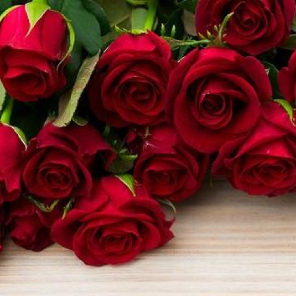 Laal Gulab / Red Rose Petals Dried  / گلاب لال/ گل سرخ