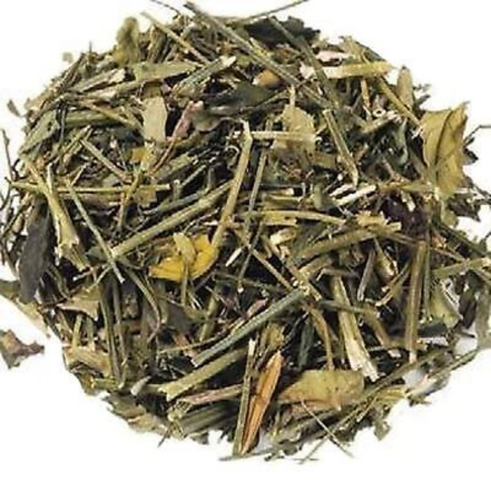 Charaita / Chiretta / Andrographis Paniculata چرائتہ