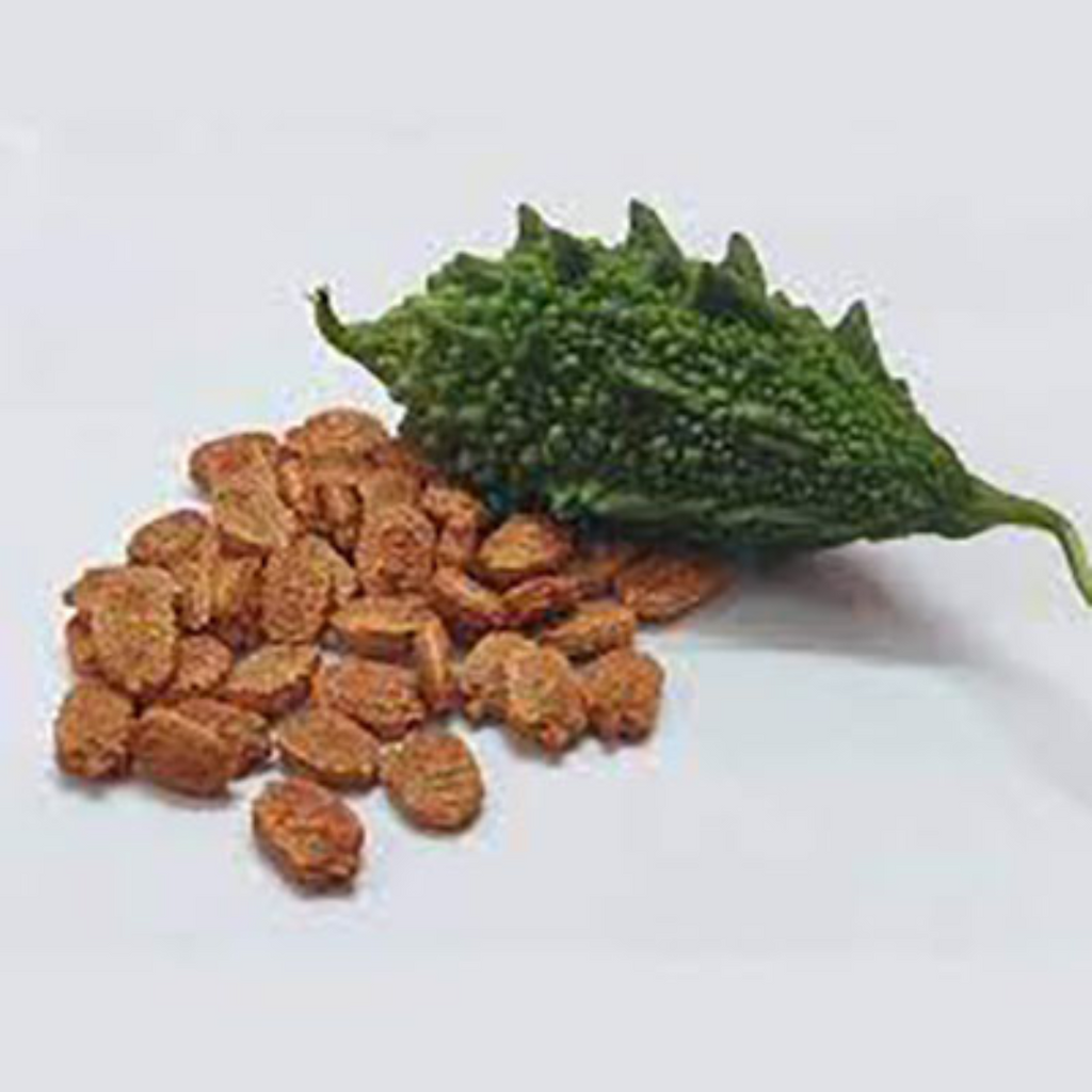 Tukhm e Karela / Bitter Gourd Seeds / تخم کریلہ