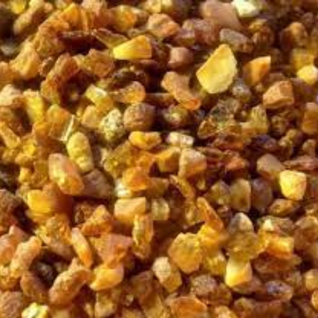 Keharba / Amber sucomum / کہربا شمعی