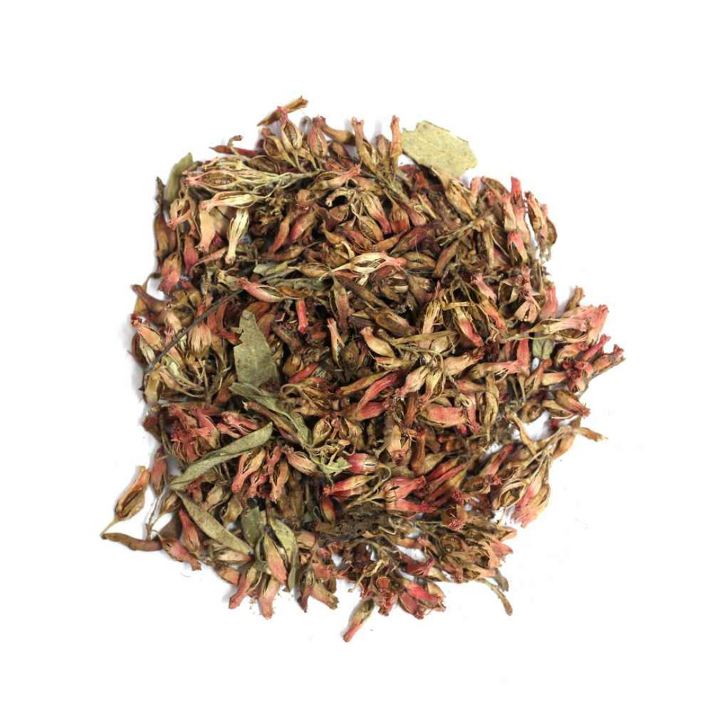 Gul e Dhawa / Axle wood Flower / Anogeissus Latifolia / گل دھاوا