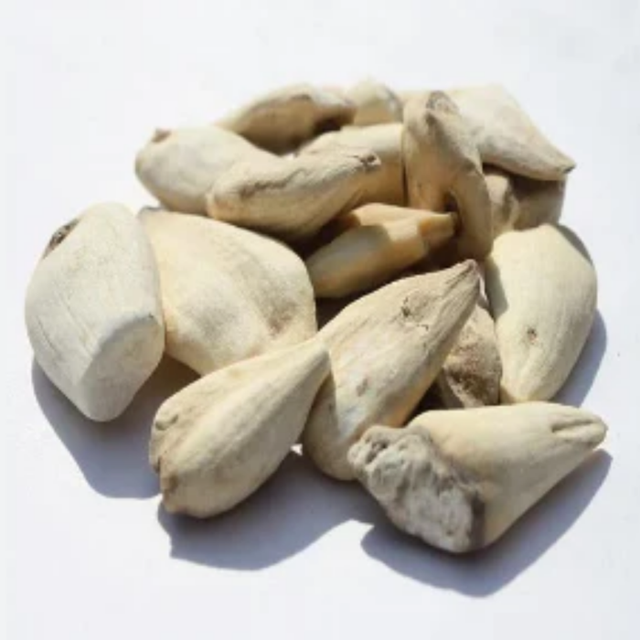Surinjan Shireen / Colchicum Luteum  / سرنجان شیریں